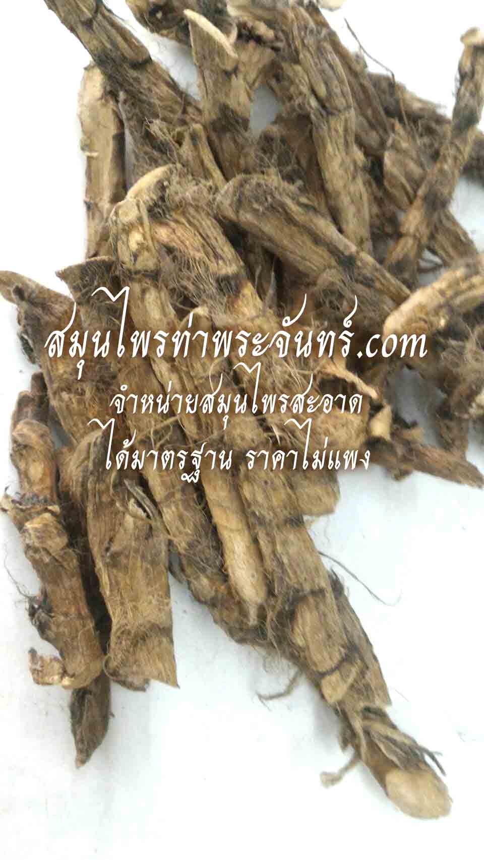 ว่านน้ำแห้ง