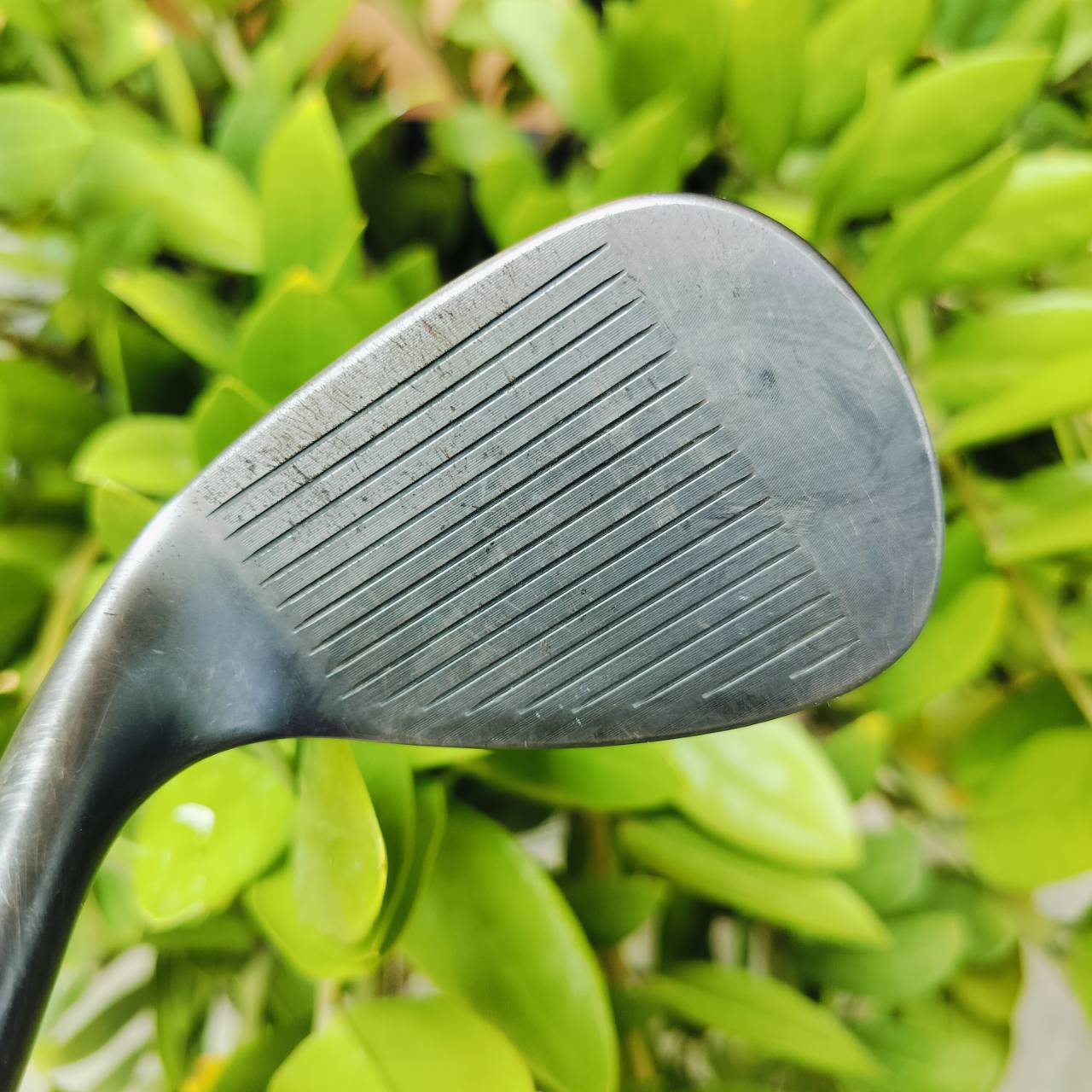 WEDGE Titleist SM7 BLACK องศา 58 BONCE 08 M Grind เจียรแต่งใบ WEDGE ให้สามารถ เล่นได้หลายรูปแบบมากขึ้น SPIN MILLED สวยมาก ให่สปินมากกว่ารุ่นก่อนๆอย่างมาก ไม้กอล์ฟพรีเมี่ยมมือสอง ของแท้ By NakaraLuxurious