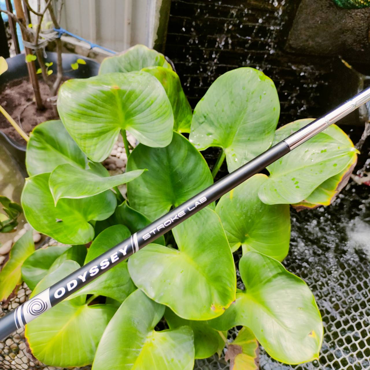 Callaway Reva Full Set Ladies ไม้กอล์ฟครบชุดที่ดีที่สุดของผู้หญิง สภาพสวยระดับนางฟ้า ถุงกอล์ฟสวยหรู ไม้ทุกชิ้นผลิตได้อย่างพรีเมี่ยมมากๆ ไม้กอล์ฟพรีเมี่ยมมือสอง ของแท้ By NakaraLuxurious