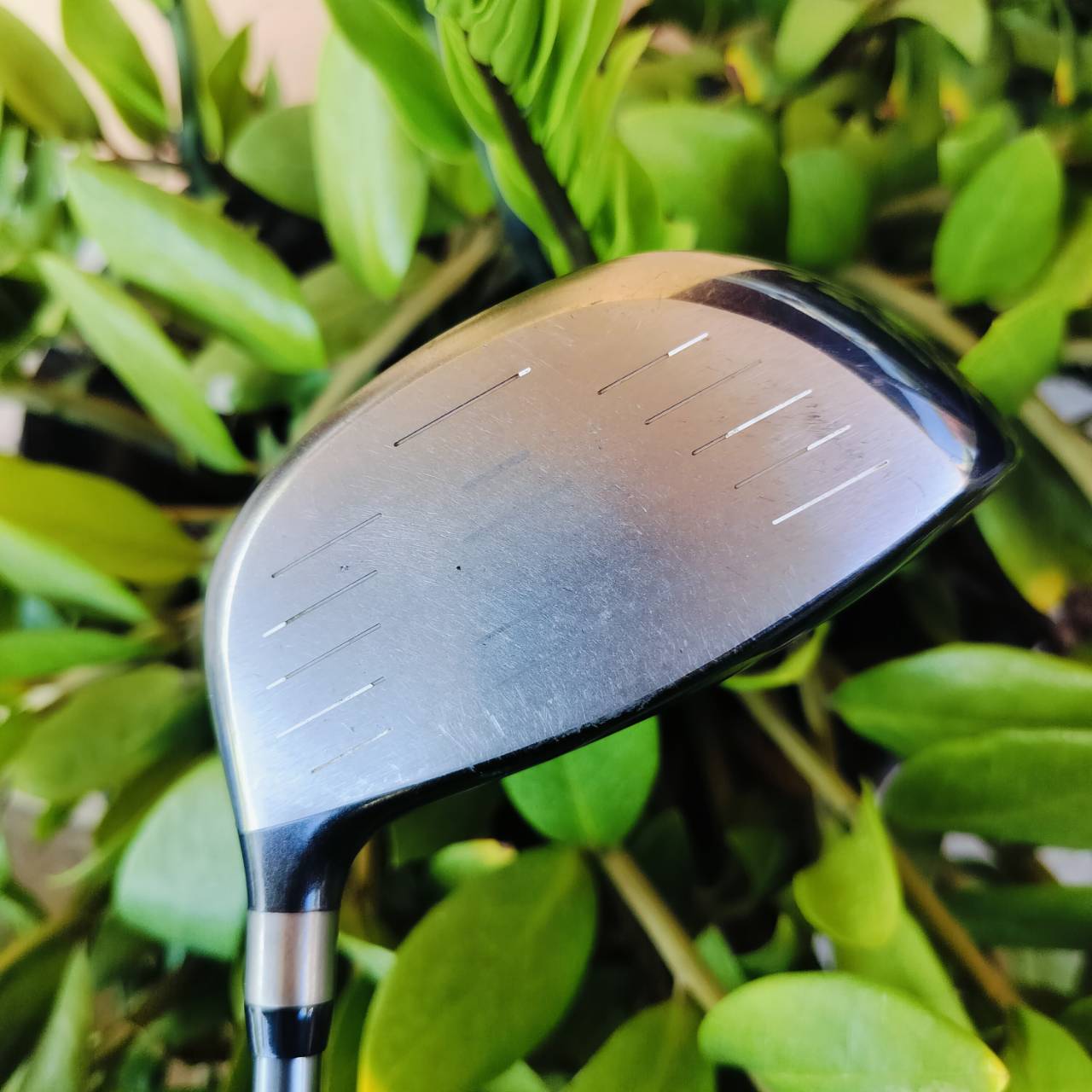 Driver Cleveland Hi Bore องศา 10.5 ก้าน FUJIKURA FLEX R กระดองแบบปาด รูปทรงโดดเด่น ตีไกลมากๆ ตีง่ายมากๆ ไม้กอล์ฟพรีเมี่ยมมือสอง ของแท้ By NakaraLuxurious