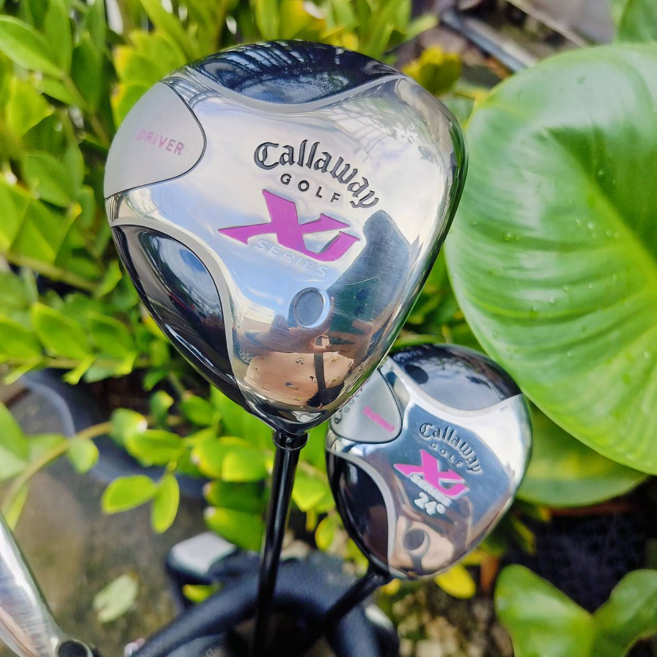 **ไม้กอล์ฟเด็กผู้หญิง** Callaway XJ SERIES เหล็ก 7 ความยาว 34 นิ้ว ชุดกอล์ฟเด็กผู้หญิง ที่ได้คุณภาพ มาตรฐานเดียวกับไม้ผู้ใหญ่ จำนวนไม้กอล์ฟเยอะมาก ของดีมาก ของใหม่แพงมาก ดีกว่าซื้อชุดจากจีนเยอะ!!! ไม้กอล์ฟพรีเมี่ยมมือสอง ของแท้ By NakaraLuxurious