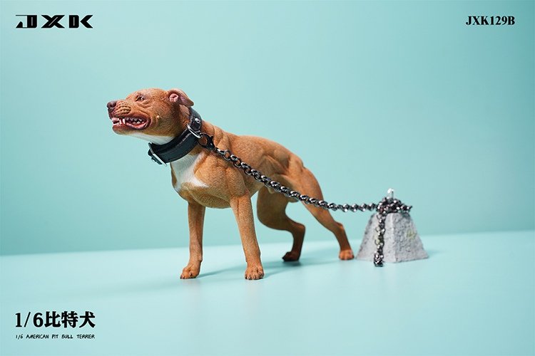 [สั่งจอง]JXK JXK129 1/6 : Pitbull