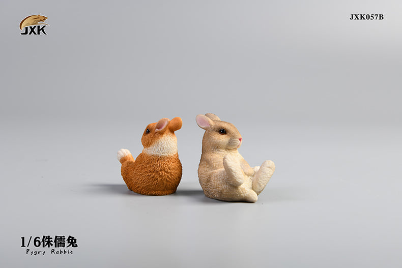 [สั่งจอง]JXK JXK057 1/6 : Pygmy Rabbit