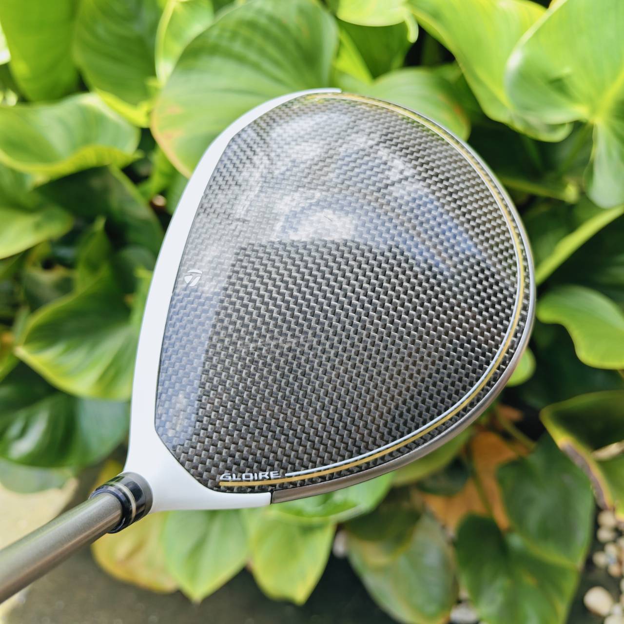 Driver TaylorMade STEALTH GLOIRE 🔥เวอร์ชั่นพรีเมี่ยมที่ยังคงทรงพลัง🔥