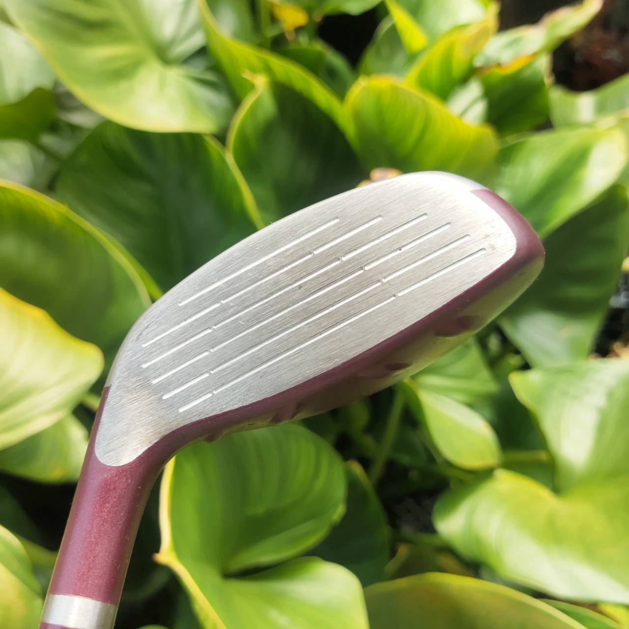 PING GLe2 HYBRID5 องศา26 ก้านเบาสุดๆ เติมเต็มความสุขให้กับท่านนักกอล์ฟสุภาพสตรีโดยแท้จริง