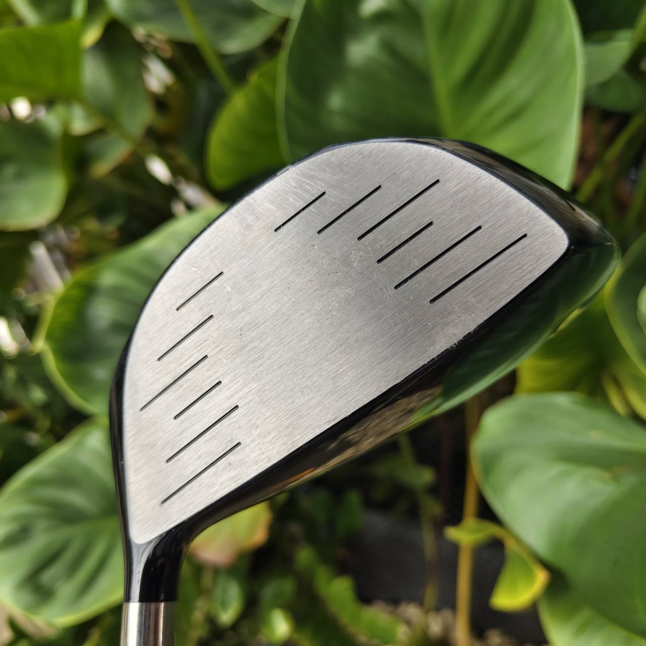 Driver ตัวช่วยตีง่าย! KASCO D-MAX AR รุ่นเหลี่ยมเพชร – เป็นตัวพรีเมี่ยมสูงสุดของ KASCO JAPAN