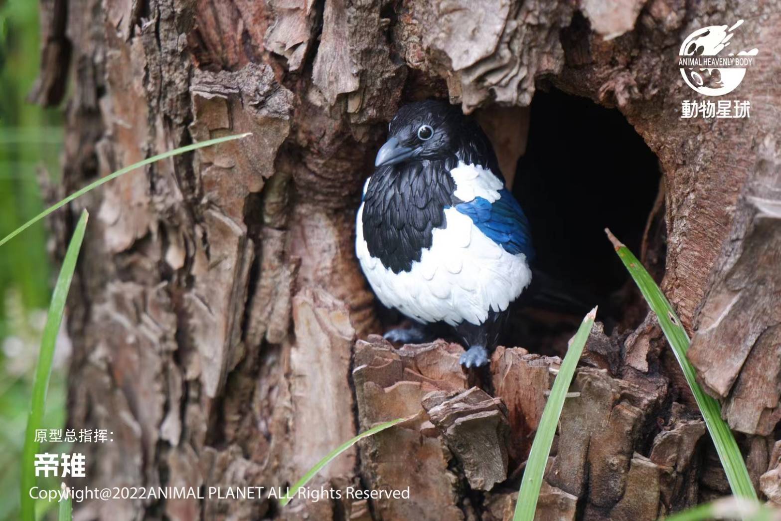 [สั่งจอง]Animal Planet : a series of laugh and grow fat No.10 -Bird