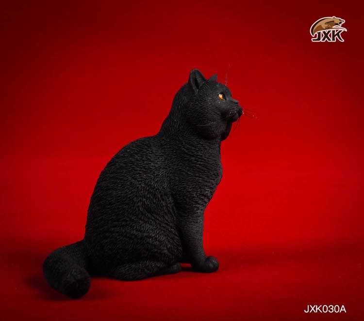 [สั่งจอง] JxK.Studio 1/6 Jxk029/ Jxk030 A/B/C/D -Ragdoll / British Shorthair Cat