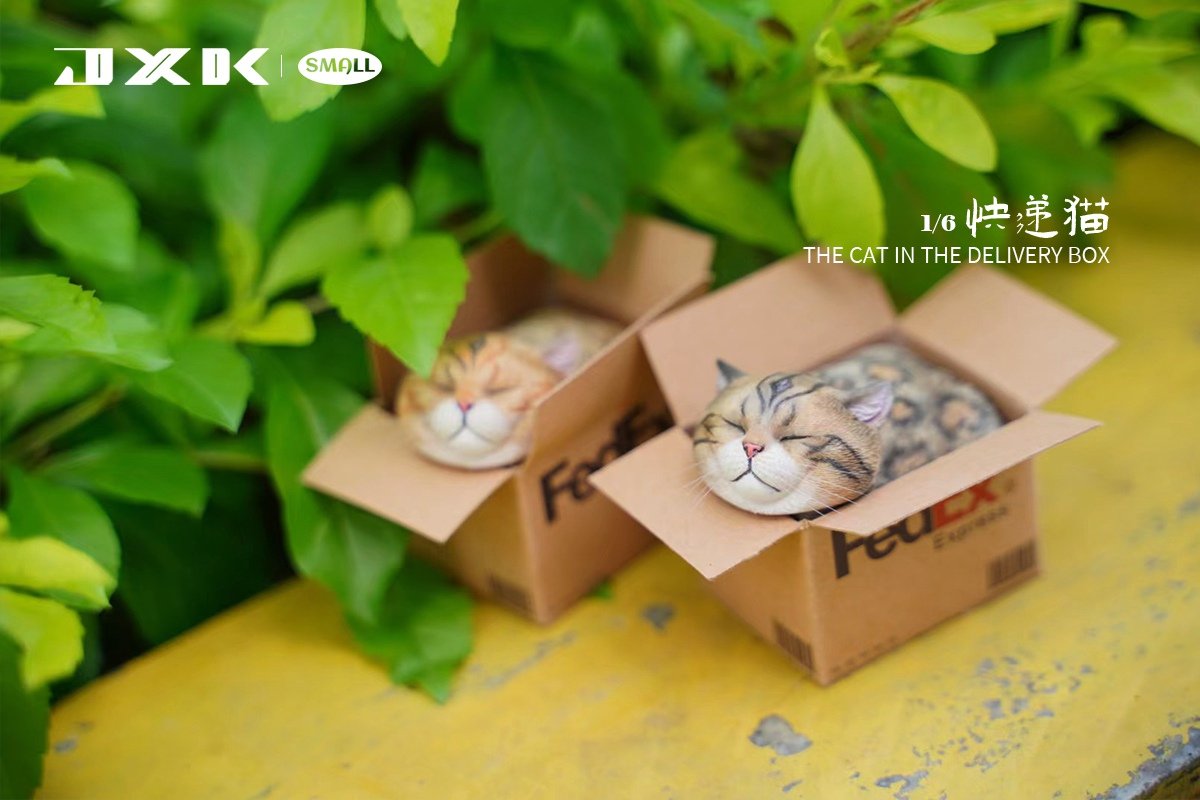 [สั่งจอง]JXK small JS2213 1/6 : The Cat In The Delivery Box