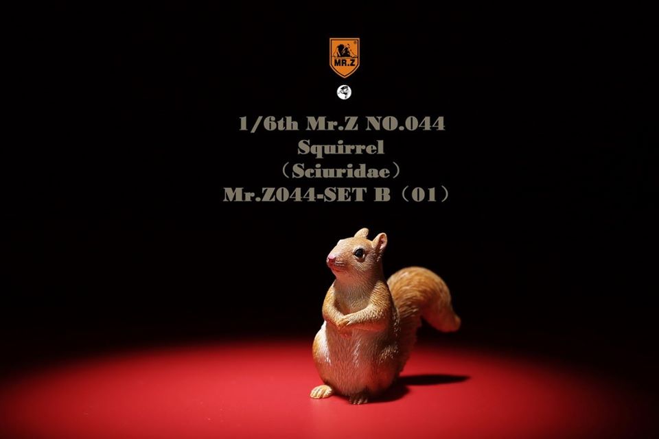[สั่งจอง]Mr. Z Animal Model Mr.Z044 1/6th : Squirrell [Set A/B]