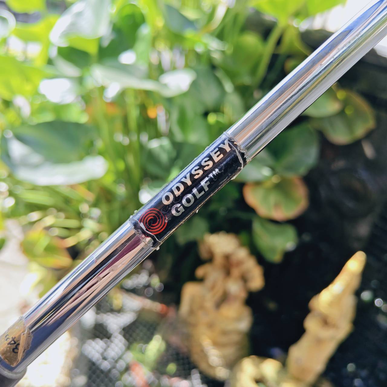 PUTTER ODYSSEY DUALFORCE ROSSIE II รุ่นหน้าดำทั้งนุ่มและช่วยในการเหาะไลน์อย่างมาก! ความยาว 34 นิ้ว!