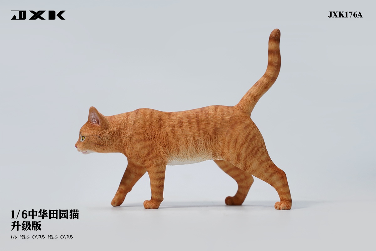 [สั่งจอง] JXK JXK176 1/6 : Felis Catus
