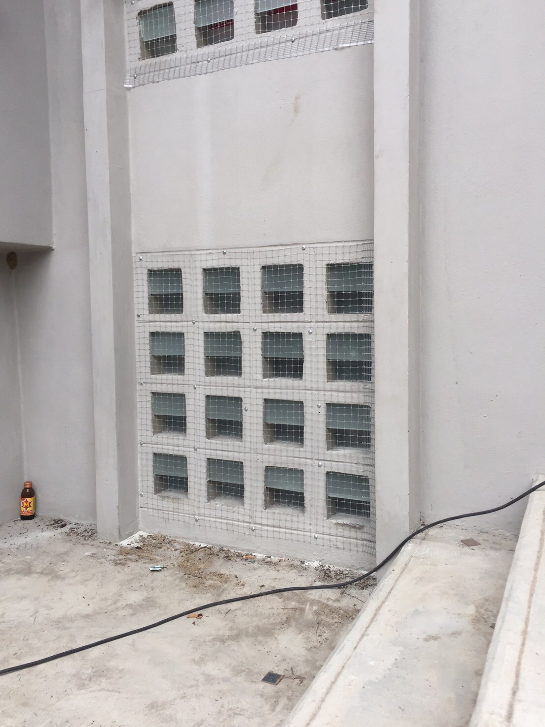 งานติดตาข่ายกันนก ตึกกายวิทยาทาน มหาวิทยาลัยมหิดล