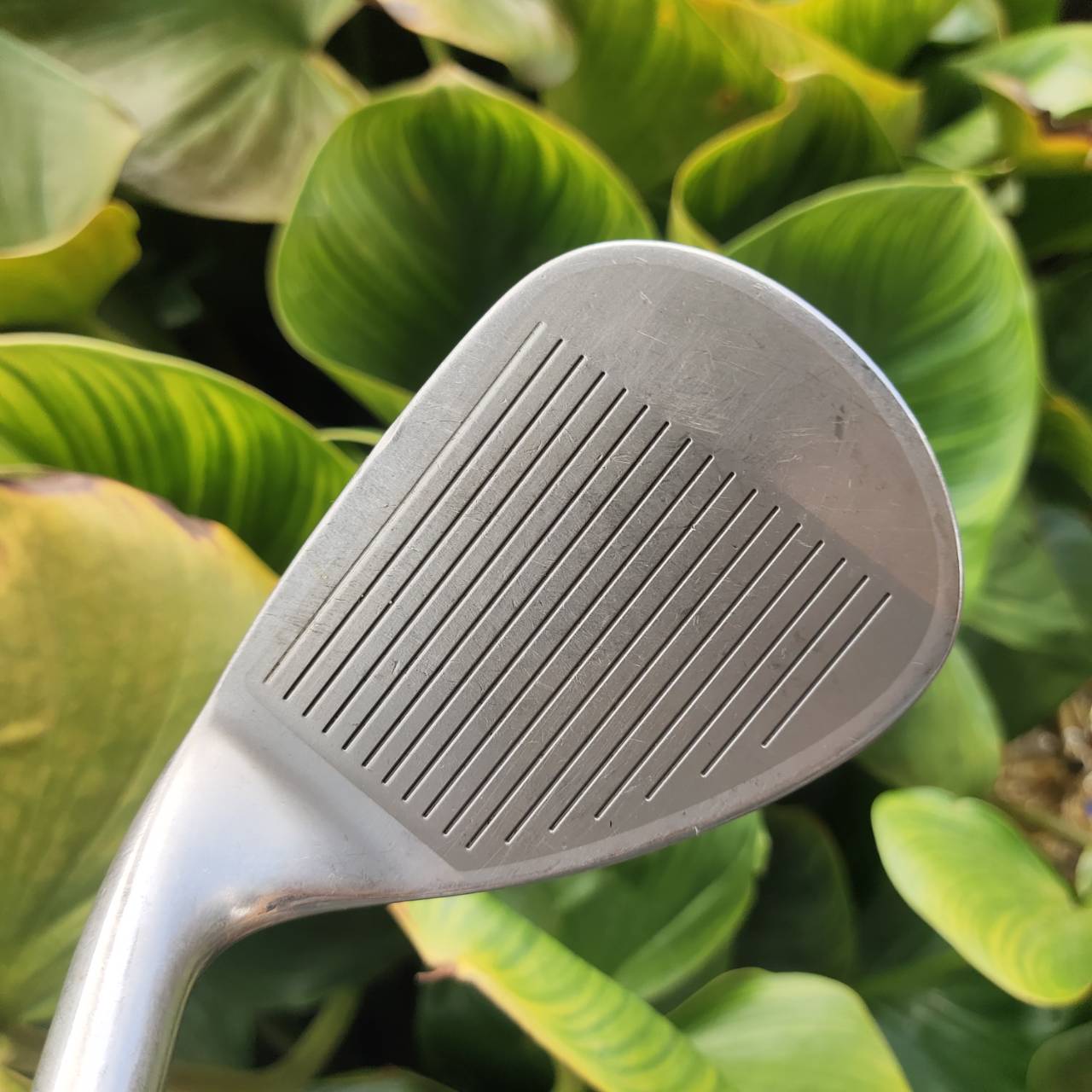 SW XXIO7 ของดีมากญี่ปุ่น หน้าเด้ง มีแผ่นเด้ง เพิ่มแรงดีด ช่วยให้ตีหลุดทรายง่าย ลูกลอยสูง หยุดไว