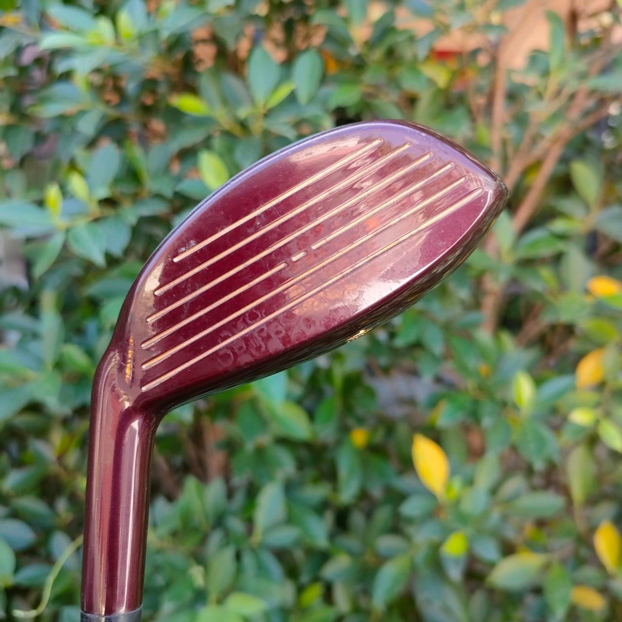 ****ไม้กอล์ฟครบชุดสำหรับผู้หญิง*** FULLSET MARUMAN VERITY TITANIUM SHALLOW BACK MODEL