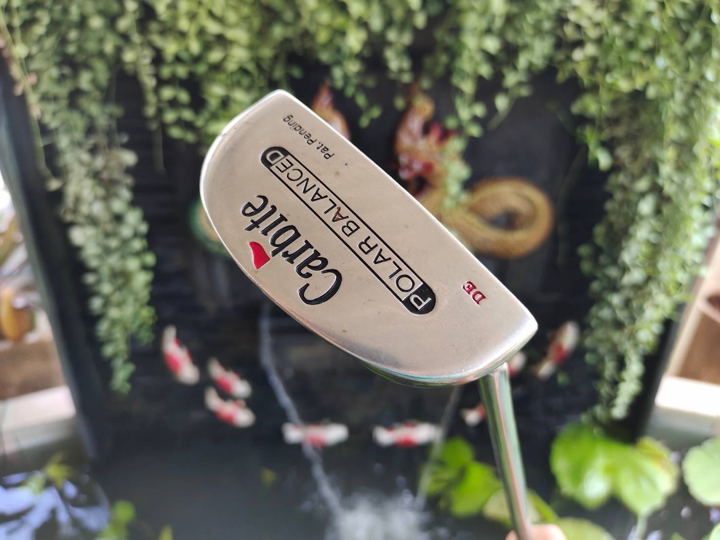 PUTTER CARBITE POLABLANCED