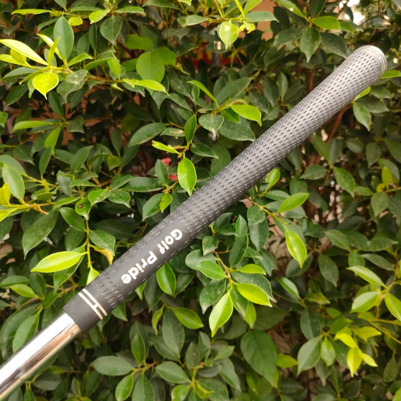 PW MIZUNO CLUB CHAMPION FLEX WEDGE องศา 48