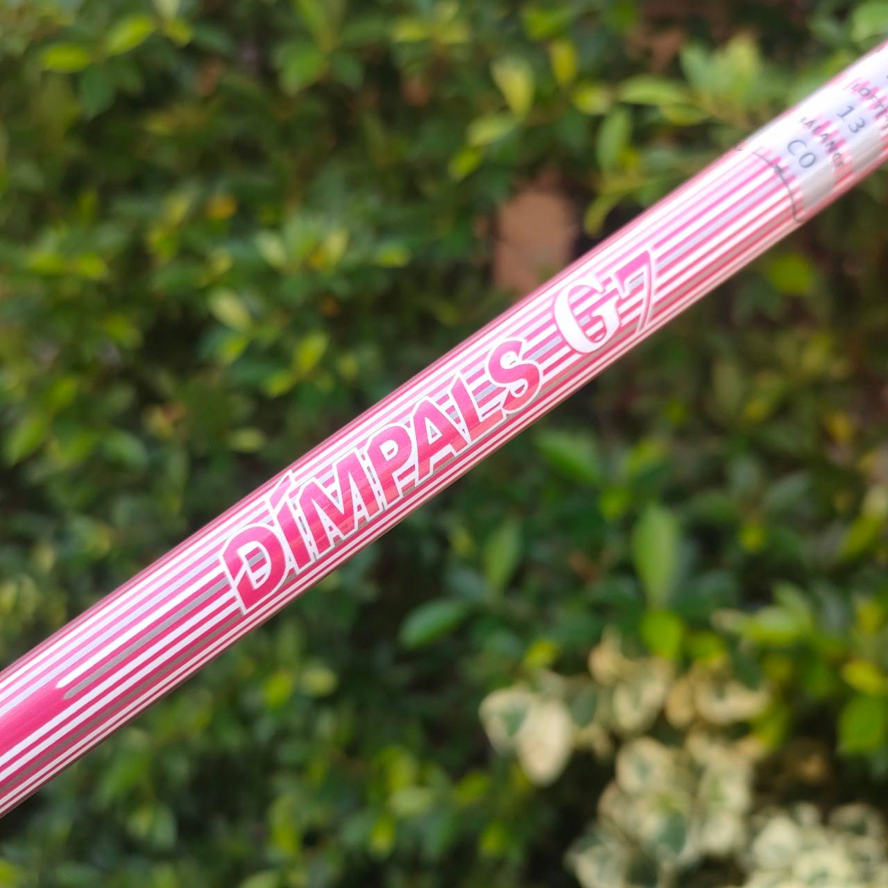 **ไม้กอล์ฟสำหรับผู้หญิง** รุ่นใหม่และยอดนิยมสูงสุด!! SET KASCO DIMPALS G7 LADY สภาพสวยนางฟ้า ชุดกอล์ฟพรีเมี่ยมญี่ปุ่น!! ไม้กอล์ฟมือสอง ของแท้ BY NakaraLuxurious