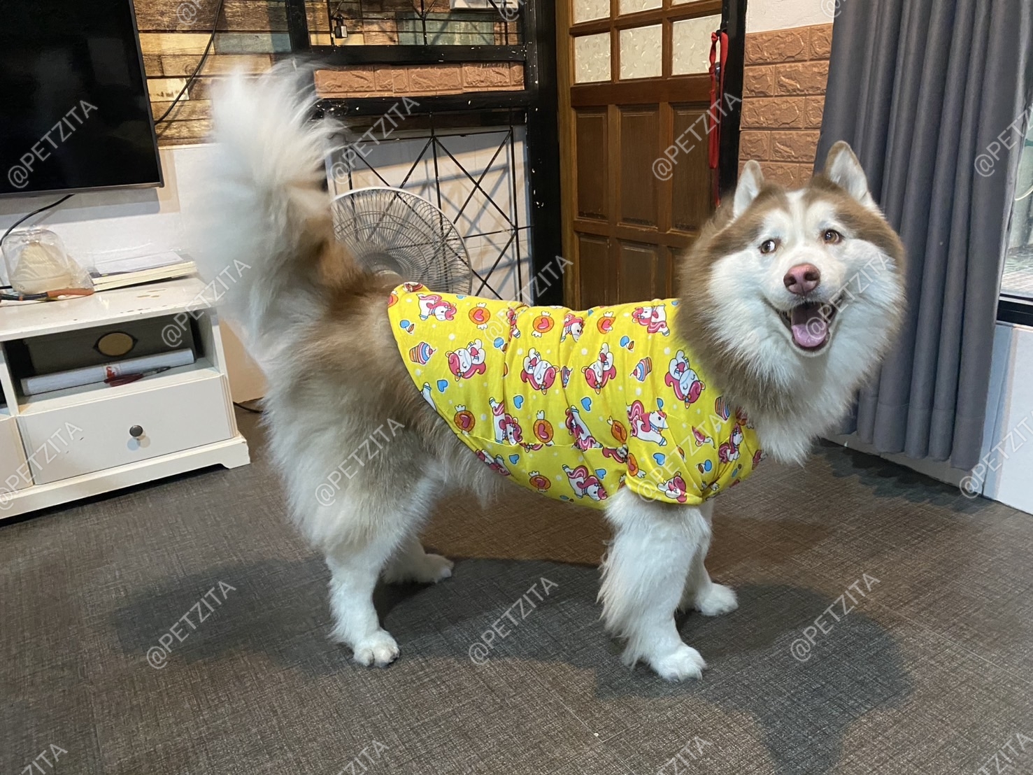 🇹🇭พร้อมส่ง🇹🇭 🐕🦮🐕 BIGSIZE เสื้อ หมาใหญ่ หมาอ้วน ลายแฟชั่นน่ารัก ผ้ารูใส่สบาย FOR สัตว์เลี้ยง สุนัขพันธุ์ใหญ่