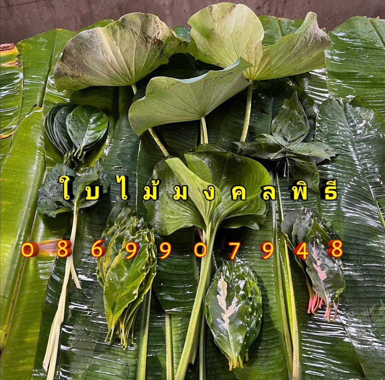 ใบไม้มงคล (พิธี)