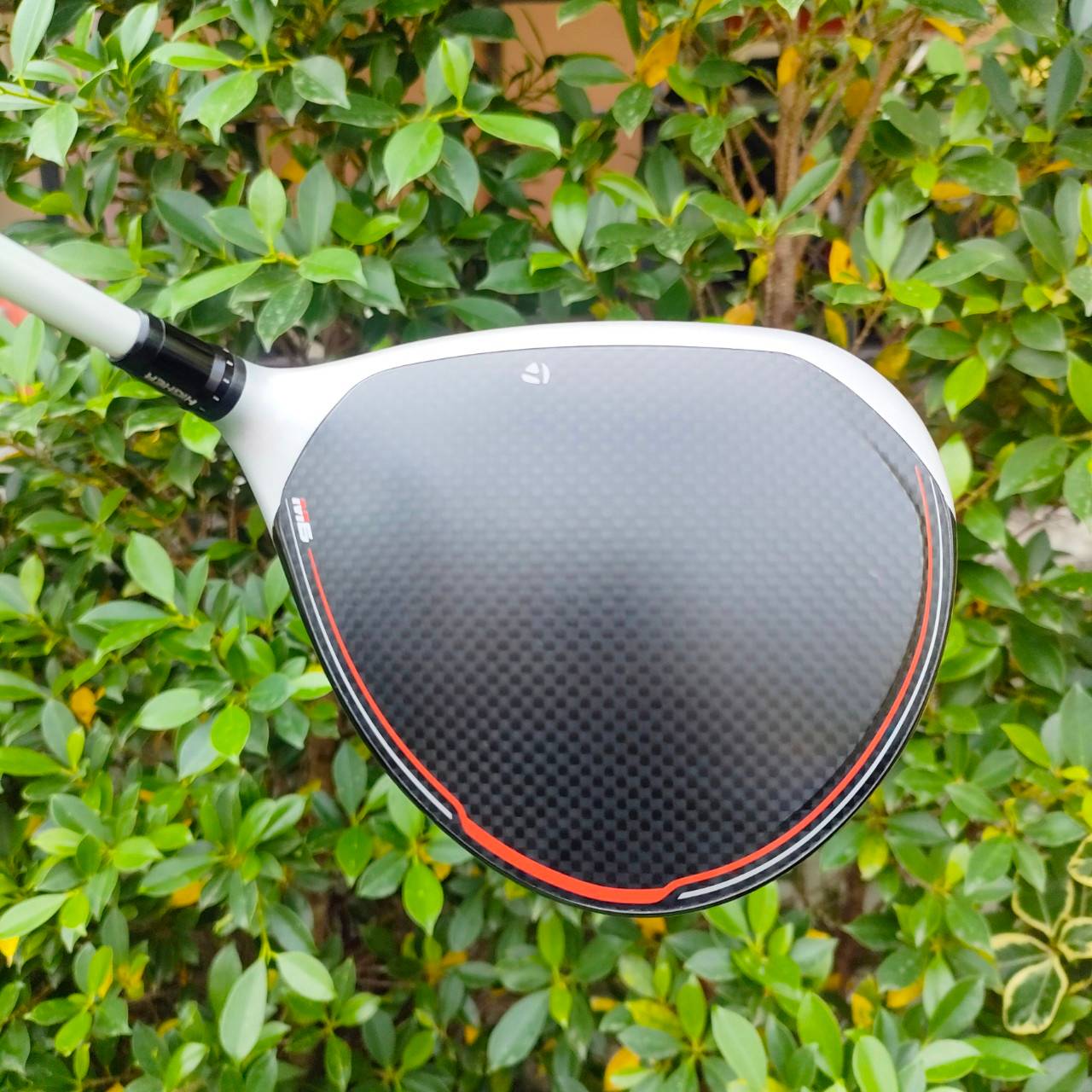 **ไม้กอล์ฟสำหรับผู้หญิง** DRIVER TAYLORMADE M6 D-TYPE LADY องศา 12 ก้าน FUJIKURA TM4 FLEX L Driver คุณผู้หญฺงที่ทรงคุณค่ามาก