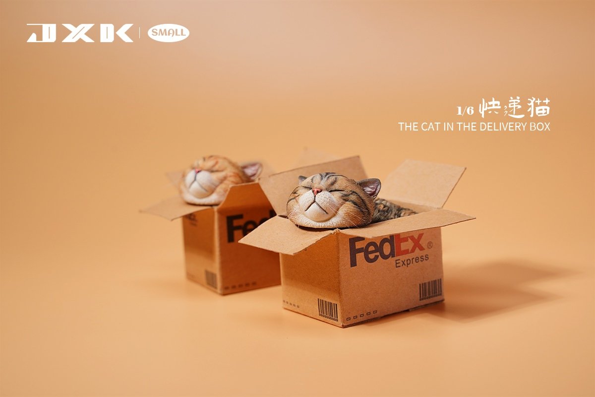 [สั่งจอง]JXK small JS2213 1/6 : The Cat In The Delivery Box