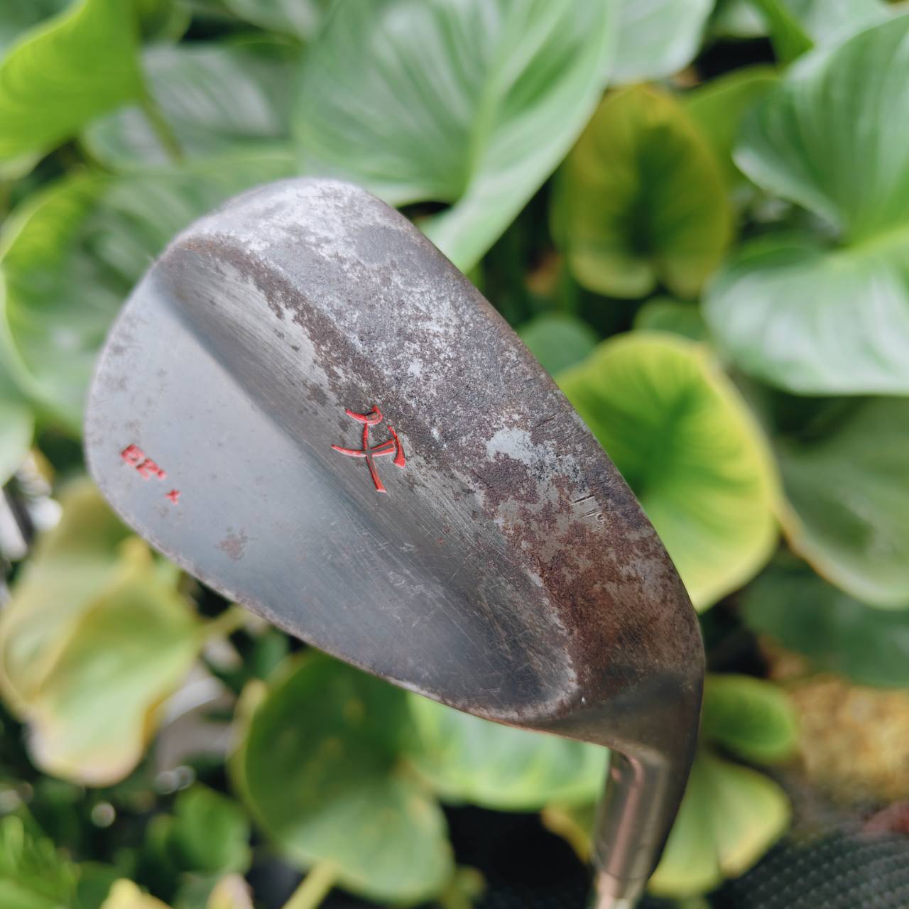 WEDGE องศา 52 งานคราฟสุดพรีเมียม ผลิตด้วยความใส่ใจจากเครื่องมือการผลิตชั้นยอด