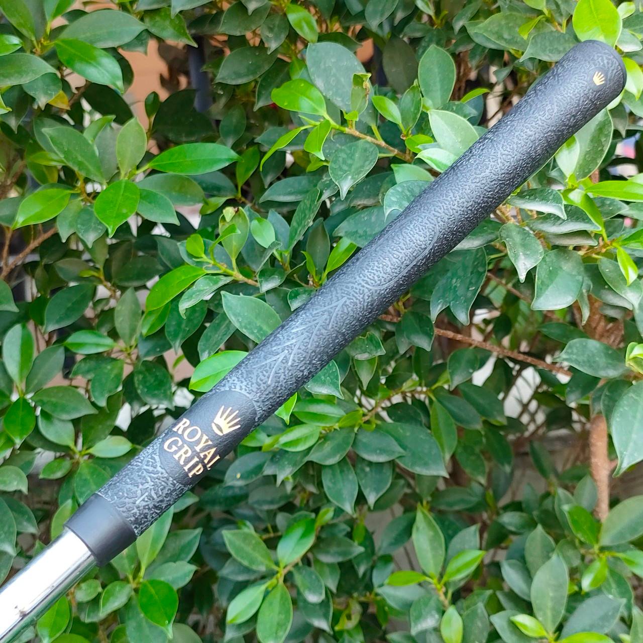 ชุดเหล็ก HONMA FE-8000 PROFESSIONAL มีเหล็ก 3-10 เหล็ก FORGED JAPAN