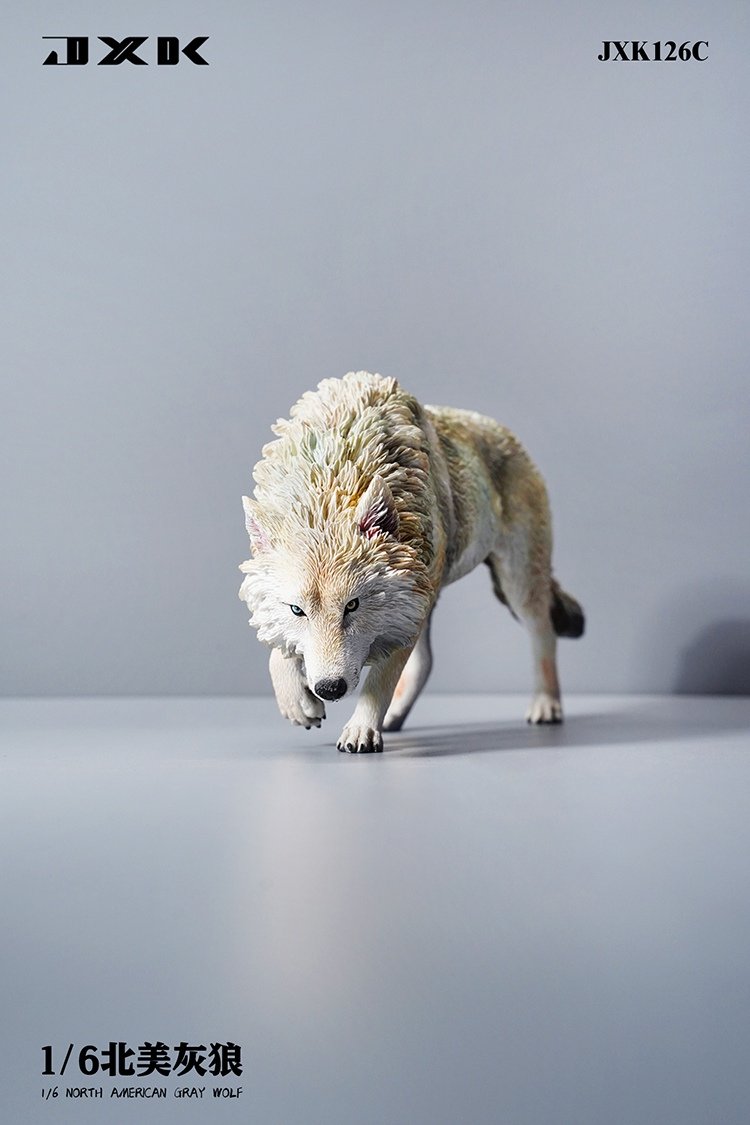 [สั่งจอง]JXK JXK126 1/6 : North American Grey Wolf