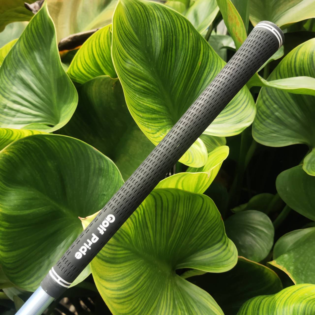 สำหรับซีเนียร์หรือผู้หญิง U3 VIQ CL Loft 22° แบรนด์ญี่ปุ่นคุณภาพสูง ตีง่าย แม่นกรีนระยะไกล