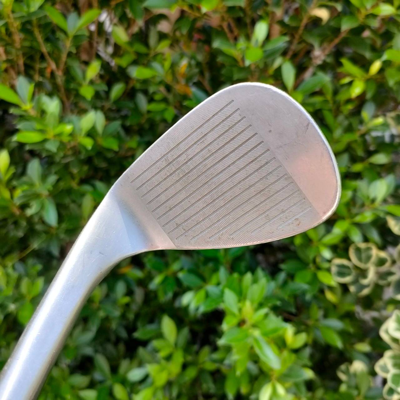WEDGE IWAZAKI X-TOUR FORGED ก้าน JAPAN ROYAL FLEX R องศา 60 เวดพรีเมี่ยม ชิพง่าย และสปินดีครับ