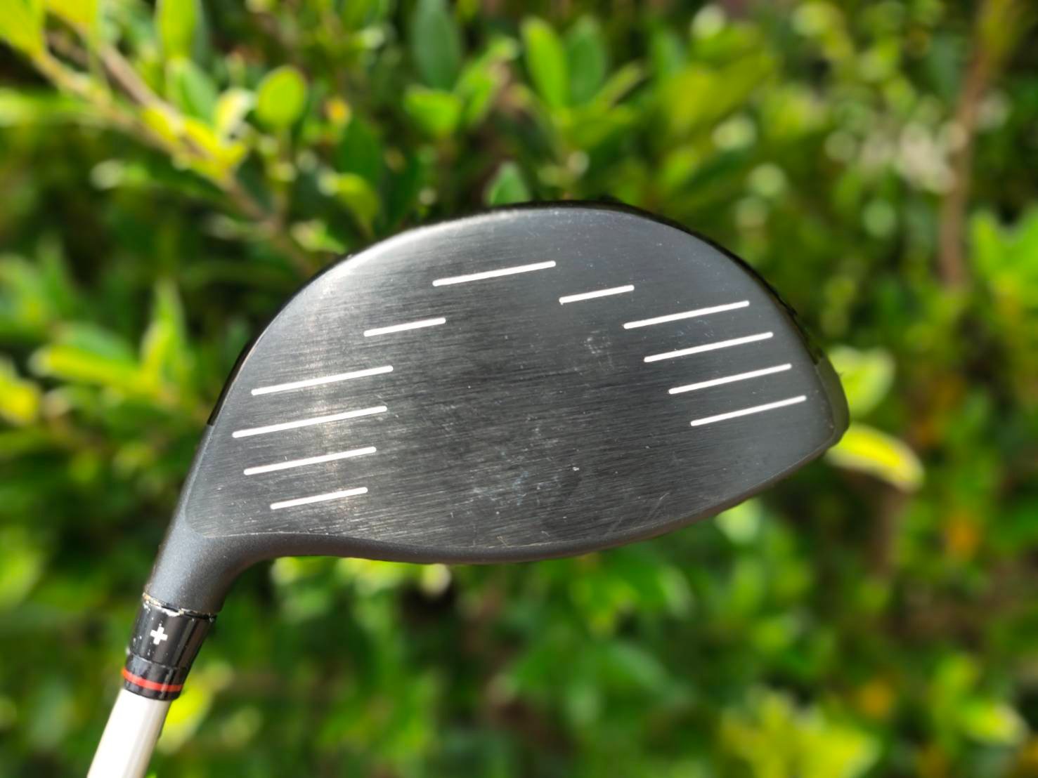 Driver PING G25 ก้าน TFC 360 FLEX R : Inspired by LnwShop