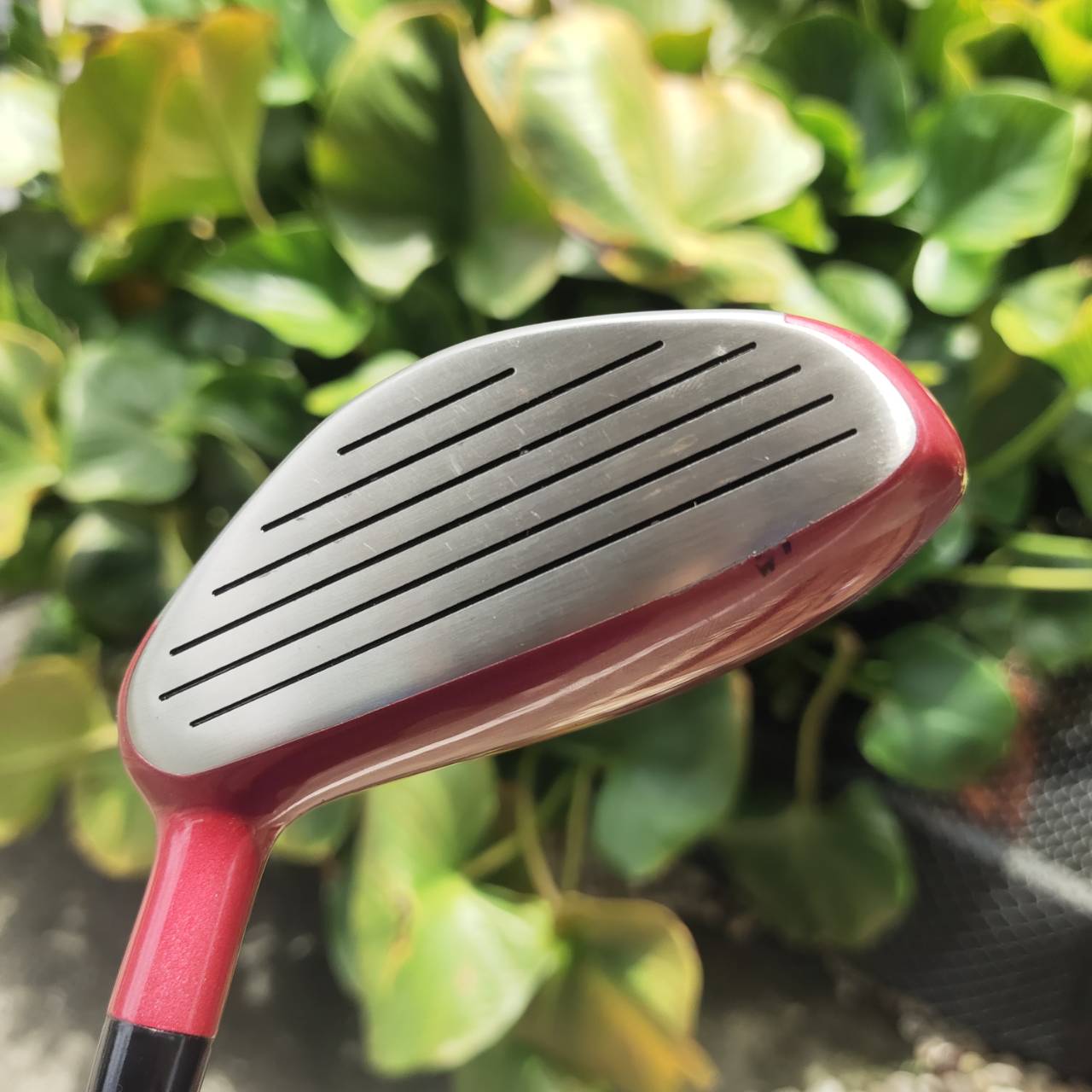 U7 KASCO DIMPALS Loft 28 องศา ก้าน FLEX L (สำหรับผู้หญิง หรือมือใหม่ที่สปีดสวิงช้า)