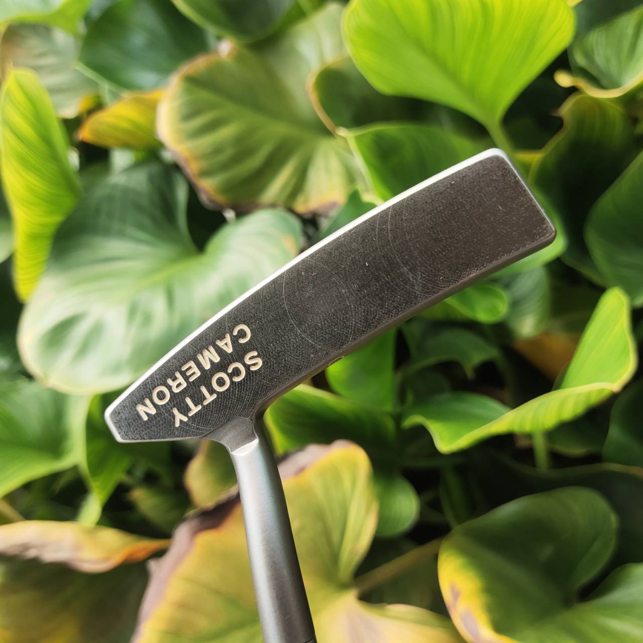 PUTTER Scotty Cameron Circa 62 Model No.2 มี COVER แท้เดิม ( COVER หายากและแพงมาก)