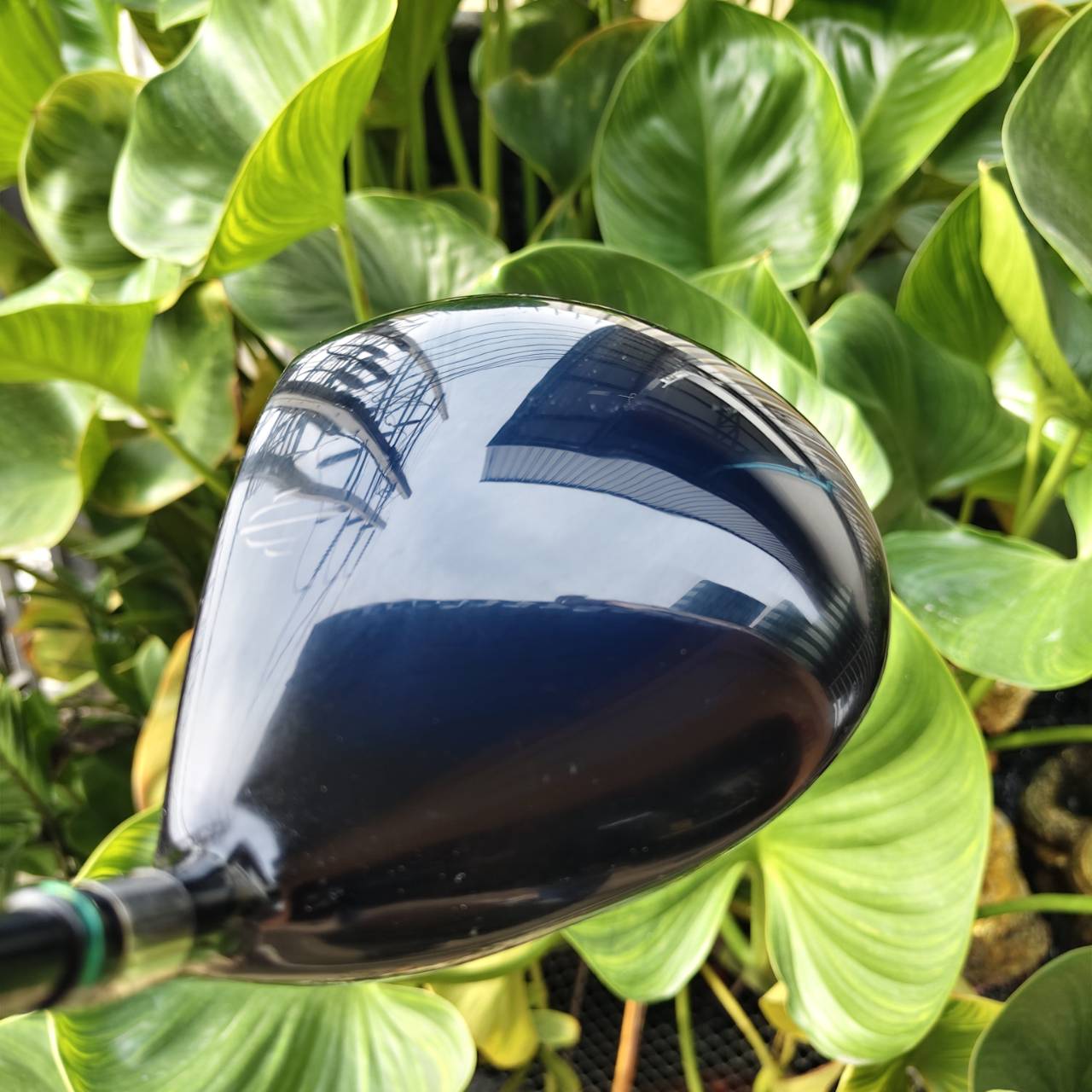 Driver ตัวช่วยตีง่าย! KASCO D-MAX AR รุ่นเหลี่ยมเพชร ตีไกลมากกกกก!