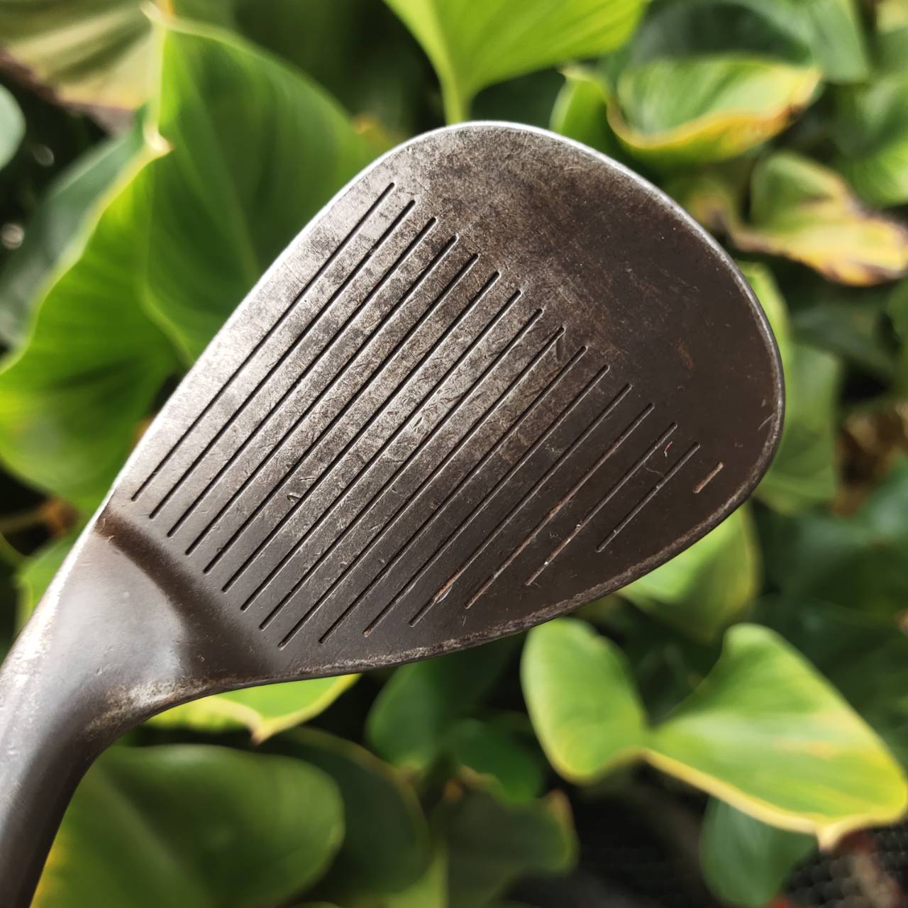 WEDGE FOURTEEN MT28 V4 รุ่นสนิม (Raw Finish) องศา 56 | Bounce 8