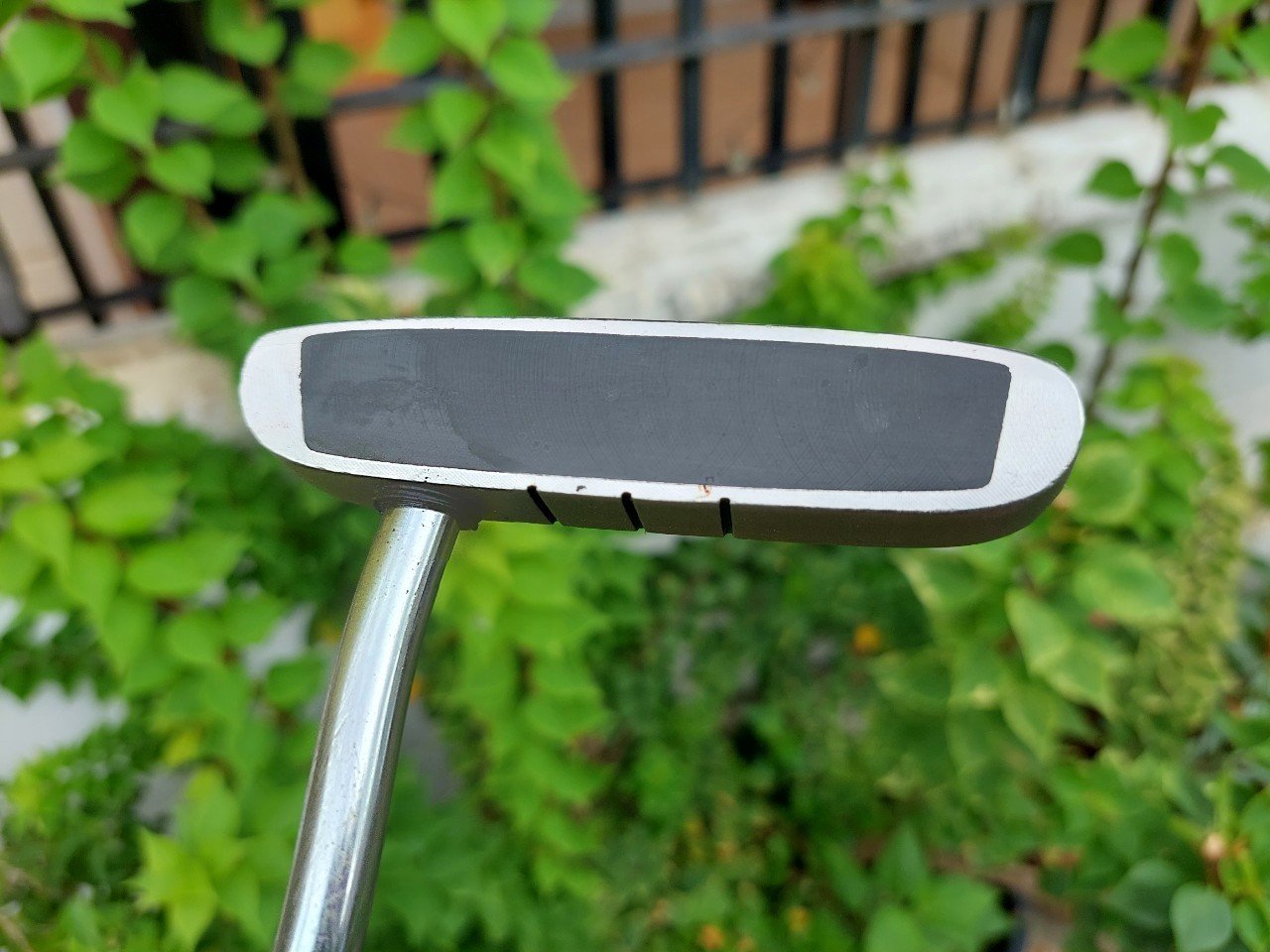 PUTTER ODYSSEY ROSSIE