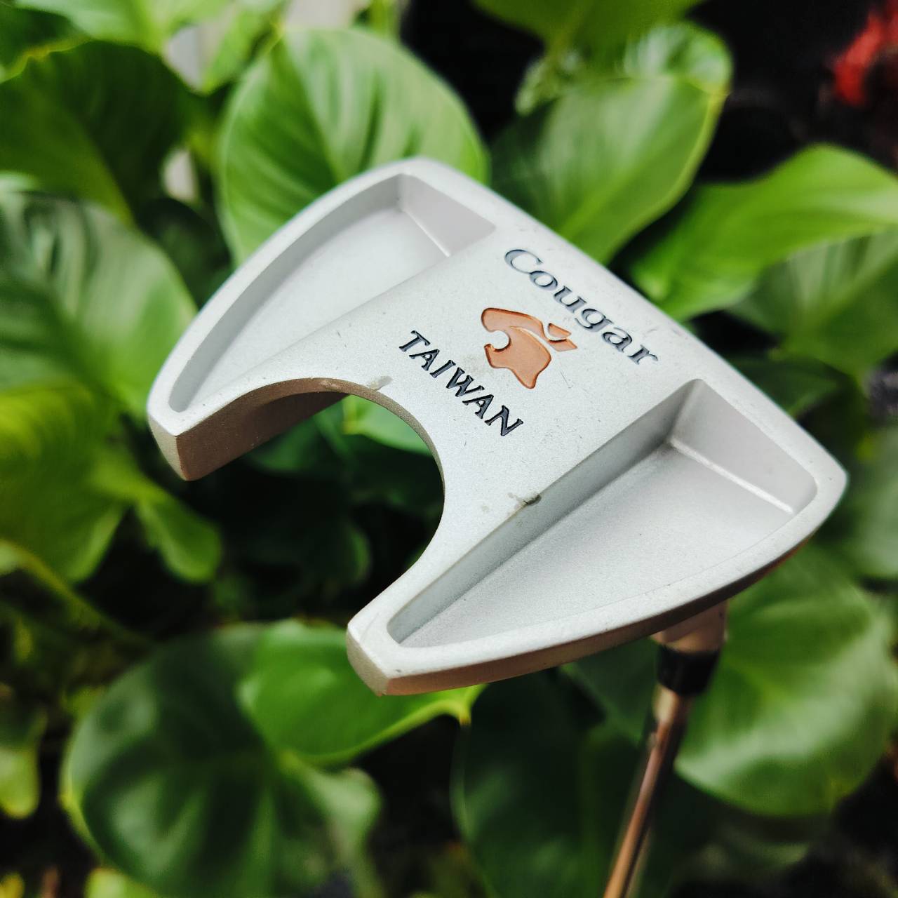 PUTTER COUGAR TAIWAN ความยาว 36 นิ้ว กริพแบบนุ่มใหญ่ SUPER STROKE ไม้กอล์ฟพรีเมี่ยมมือสอง ของแท้ By NakaraLuxurious