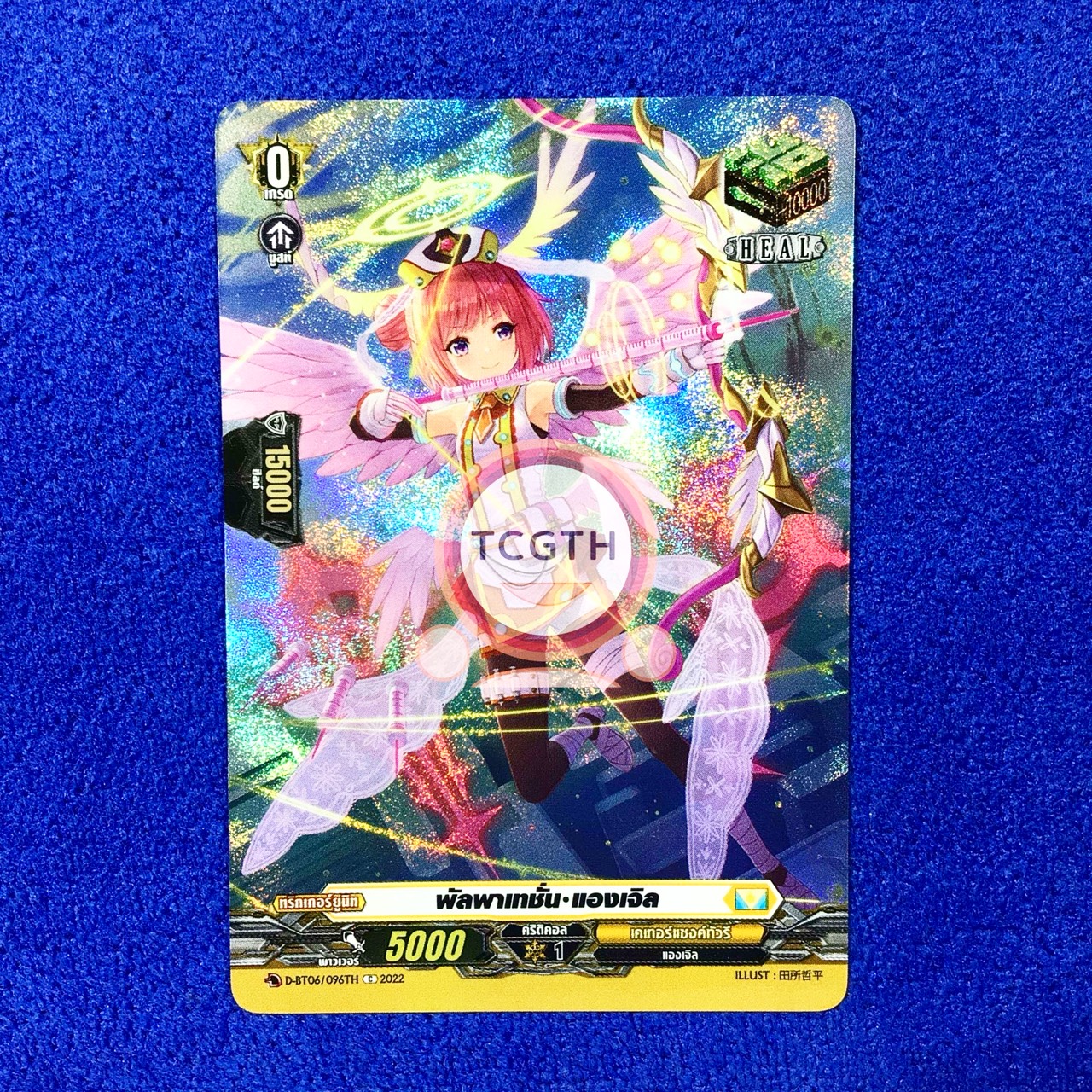 พัลพาเทชั่น•แองเจิล