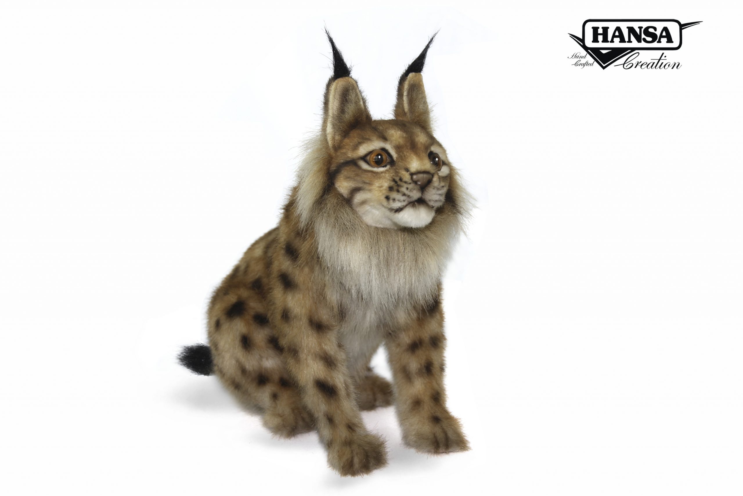 8071 Euresian Lynx Sitting 33cm.L