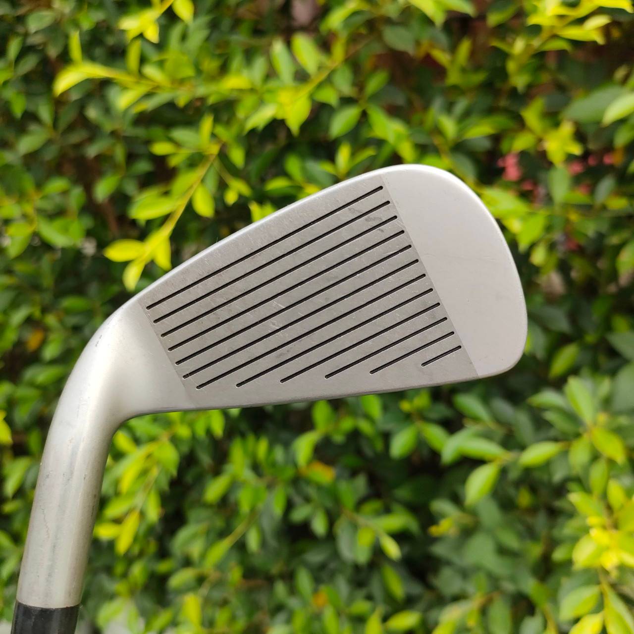 ** ไม้กอล์ฟสำหรับผู้หญิง ** ชุดเหล็ก MIZUNO ZEPHYR มีเหล็ก 3-9 เเละ PW SW F ก้าน TF-2740 FLEX L MADE IN JAPAN ทั้งเบา นุ่ม และระยะดี คุณผู้หญิงที่ต้องการชุดคุณภาพ และราคาแบบสบายๆ ชุดนี้พลาดไม่ได้ ของญี่ปุ่น แท้ๆ ดีกว่ามากๆครับ