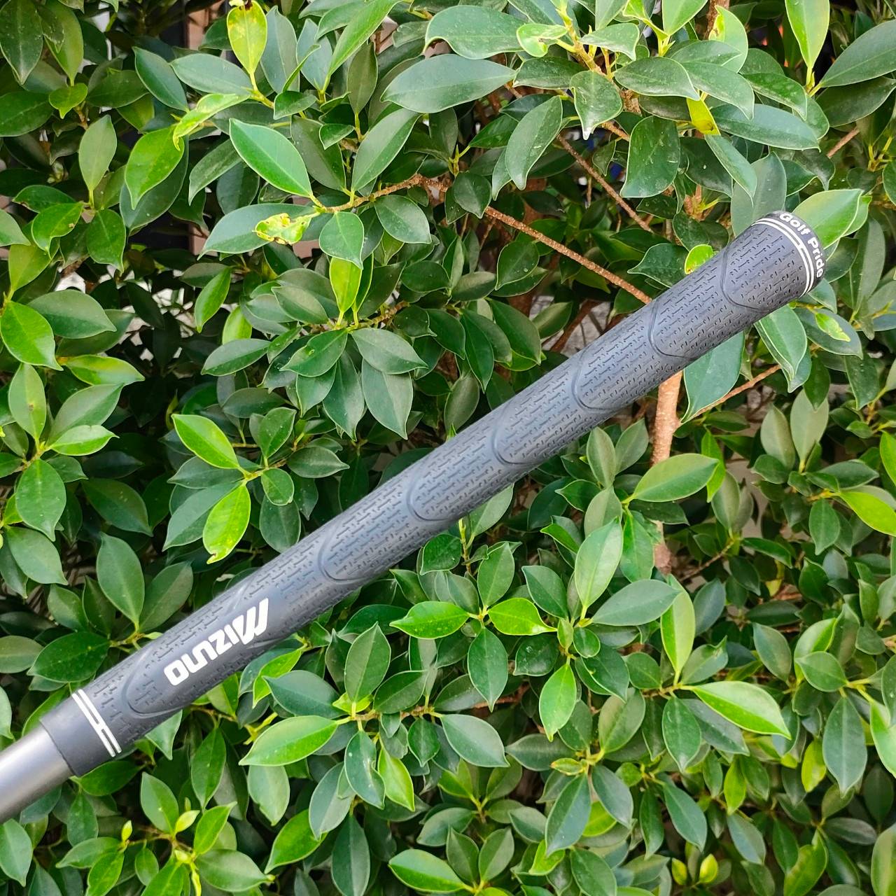 ชุดเหล็ก MIZUNO JPX900 GF FORGED สุดพรีเมี่ยม ทั้งตีง่าย และฟีลลิ่งสุดนุ่ม มีเหล็ก 5 - 9 เเละ PW ก้าน PROJECT X LZ FLEX R ก้านดีมากๆ แค่ก้านทั้งชุดก็คุ้มแล้ว