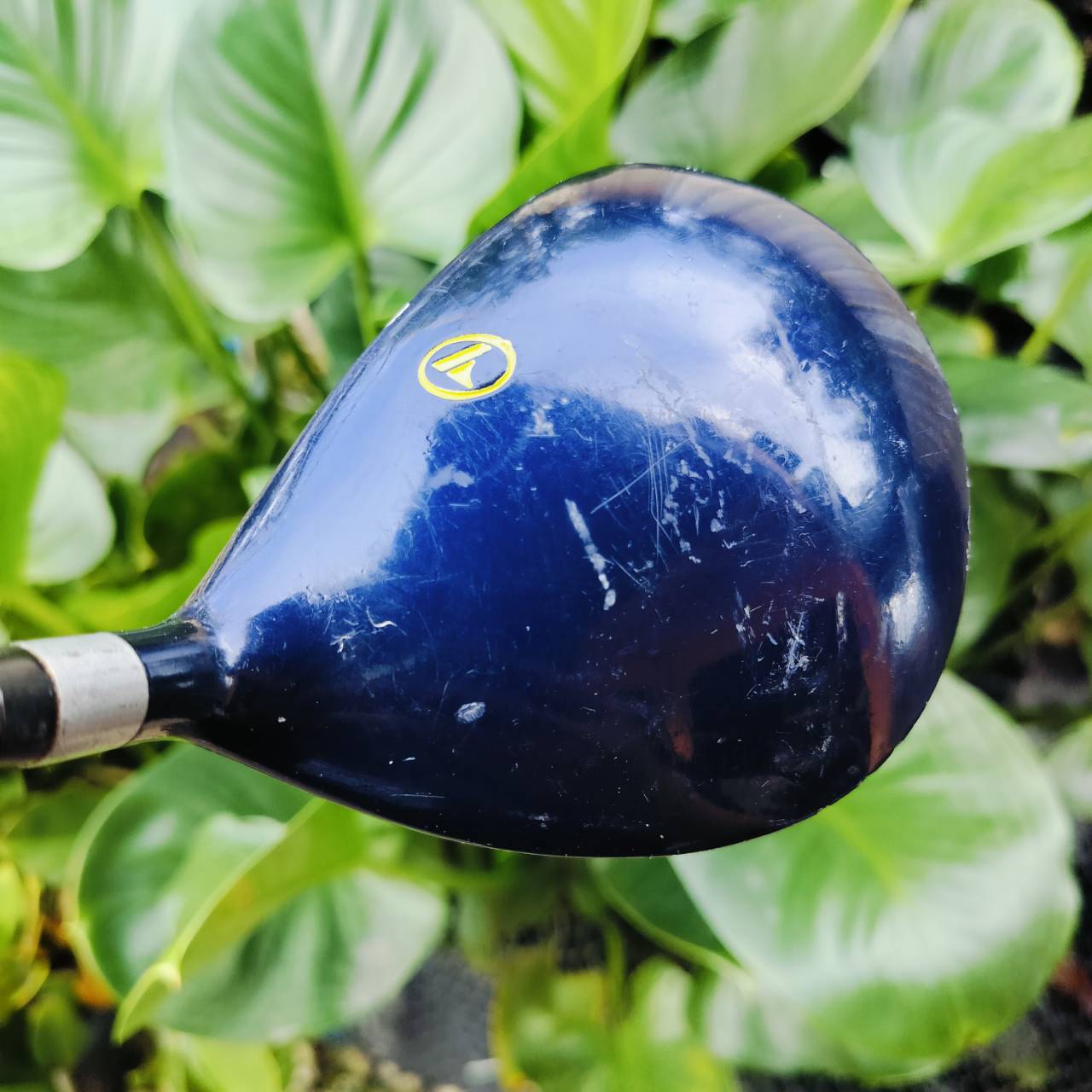 *** ไม้กอล์ฟเด็ก *** Driver เด็ก PROKENNEX JR PRO ความยาว 33 นิ้ว ไม้ญี่ปุ่น ตีง่ายๆ น้องเริ่มต้นใหม่ ใช่ไม้นี้ตีง่ายมากค่ะ ไม้กอล์ฟพรีเมี่ยมญี่ปุ่นมือสอง ของแท้ By NakaraLuxurious