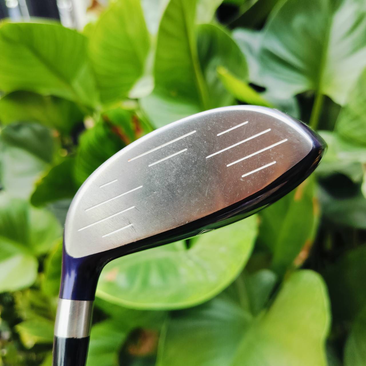 *** ไม้กอล์ฟสำหรับผู้หญิง *** FW5 MIZUNO EFIL 7 ก้าน FLEX LADY ออกแบบมาเพื่อ คุณผู้หญิงเอเชียโดยเฉพาะ เบามาก ไม้กอล์ฟพรีเมี่ยมมือสอง ของแท้ By NakaraLuxurious