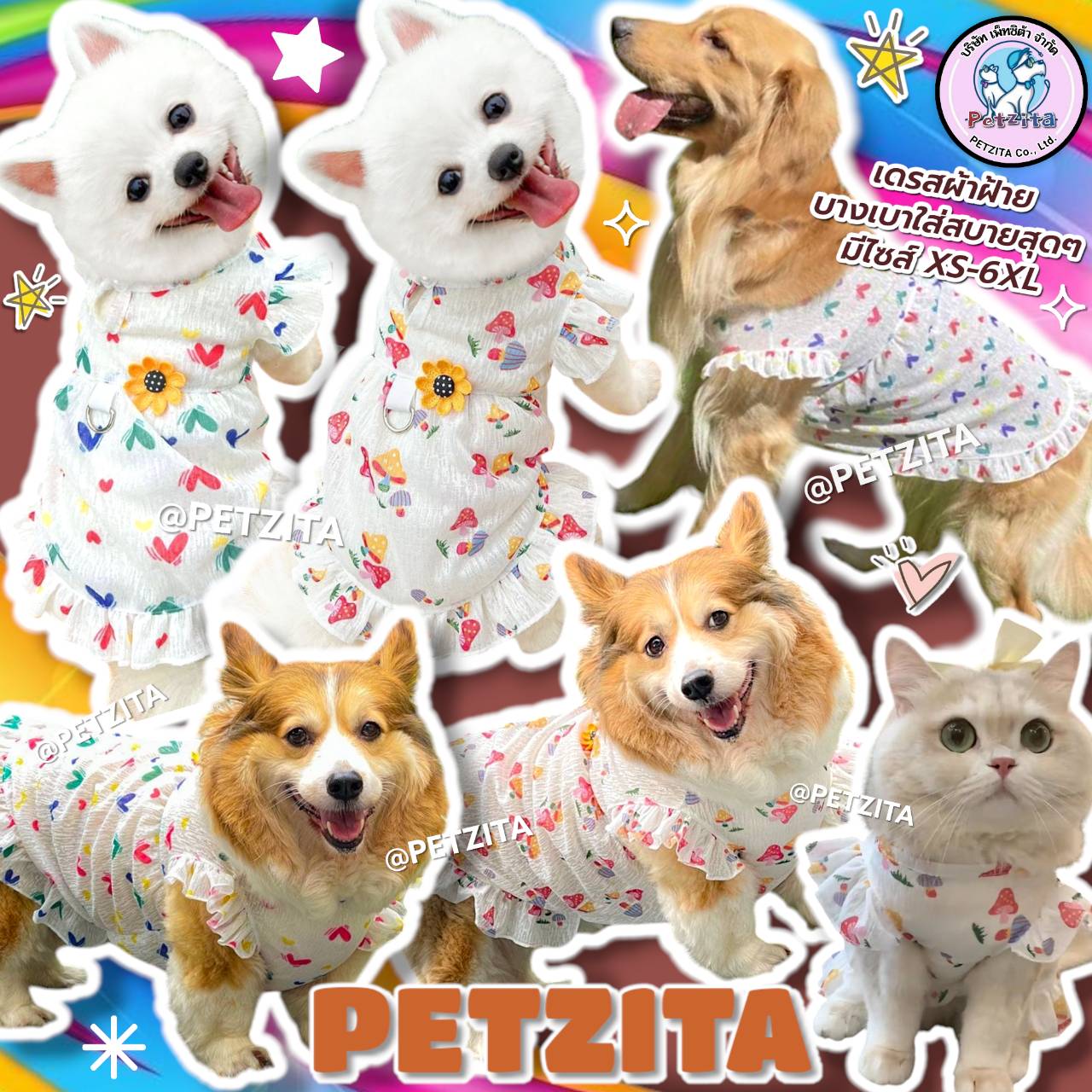 🇹🇭พร้อมส่ง🇹🇭 มีไซส์XS-6XL เดรสผ้าฝ้ายโปร่งบางเบาใส่สบาย for pet สุนัข แมว หมาอ้วน หมาใหญ่ สุนัขพันธุ์ใหญ่