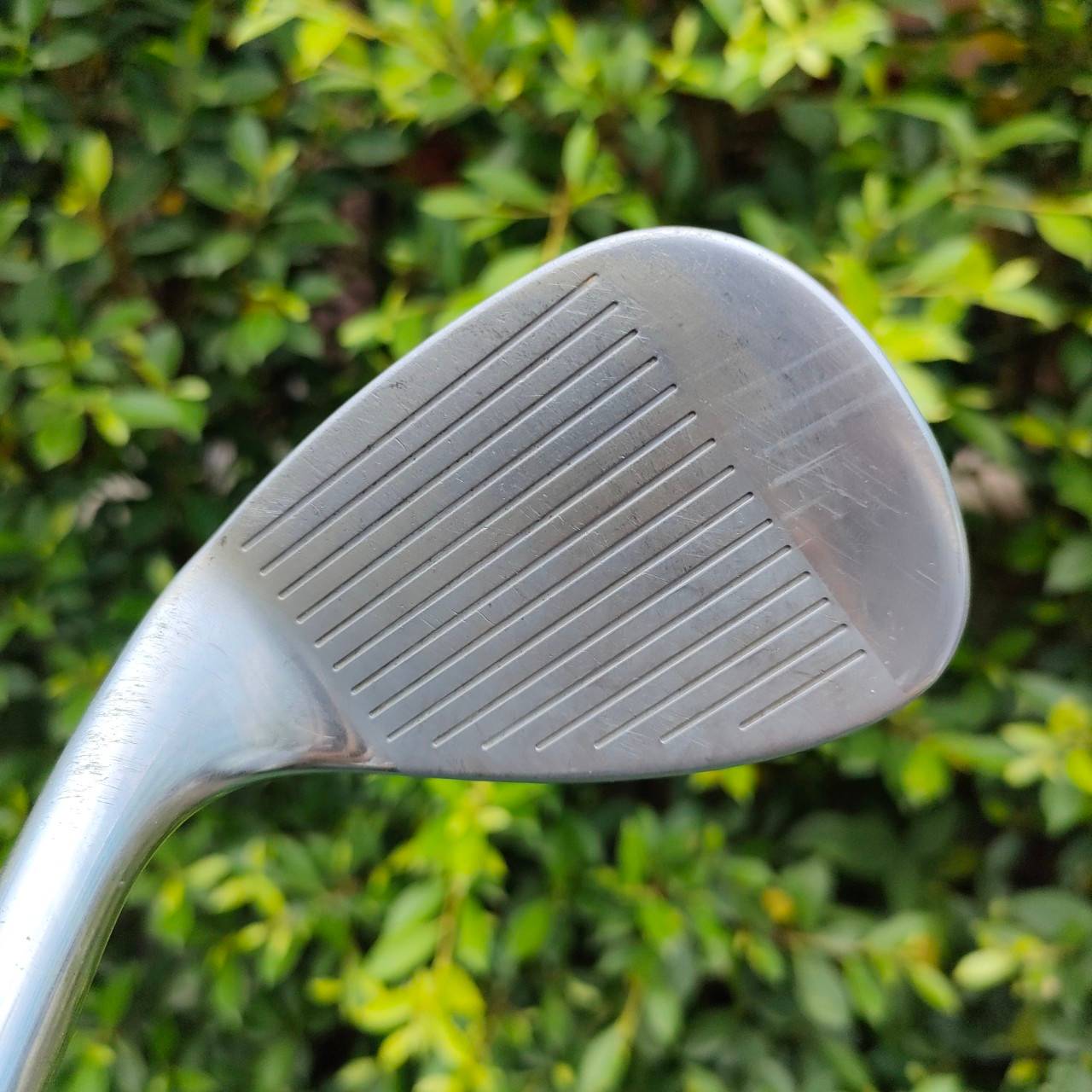 WEDGE CLEVELAND CG14 ZIP GROOVES องศา 58 BOUNCE 12 ร่องสี่เหลี่ยมเหมือนซิป ก้าน CLEVELAND FLEX WEDGE ร่องคมมาก กัดลูก ตกหยุดถอยแน่นอน
