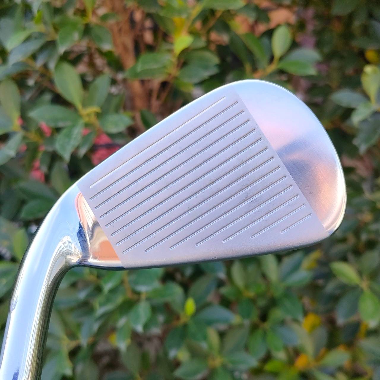 ชุดเหล็ก TAYLORMADE M GLOIRE RIBCOR HT มีเหล็ก 6-9 เเละ PW ก้าน FUJIKURA SPEEDER EVOLUTION FLEX R ทั้งชุด