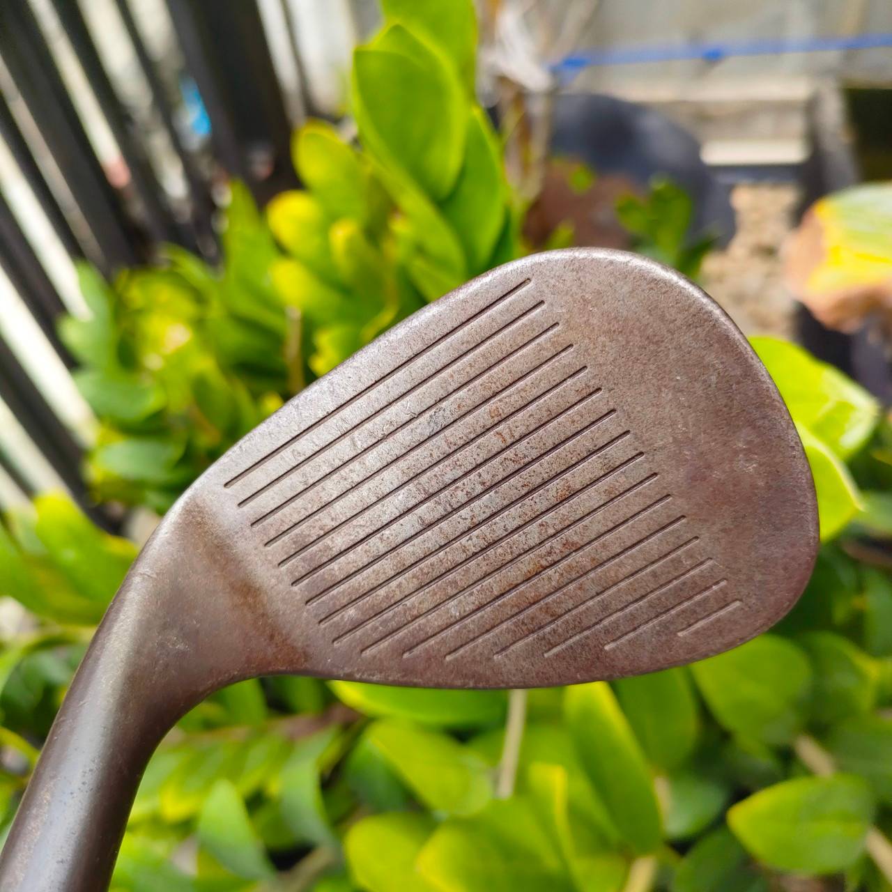 WEDGE TITLEIST VOKEY DESIGN MILD STEEL 8620 องศา 52 เบาท์ 08 FLEX WEDGE ด้วยวัสดุพรีเมี่ยมไม่เคลือบ ไม้กอล์ฟพรีเมี่ยมมือสอง ของแท้ By NakaraLuxurious
