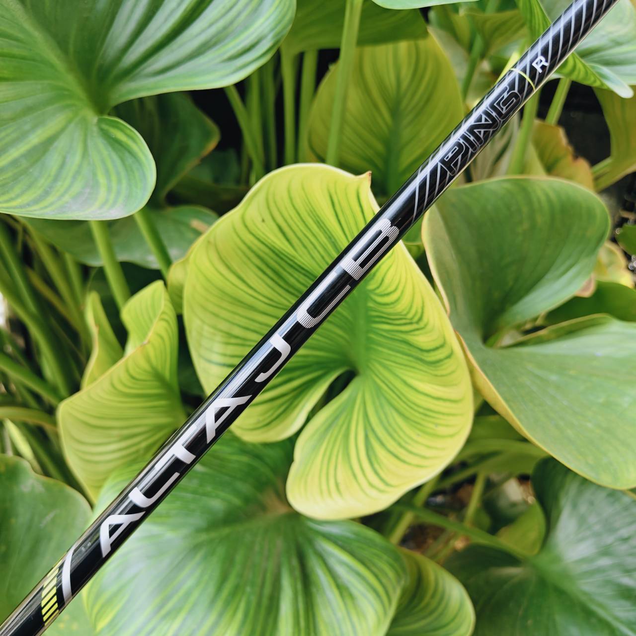 PING G730 ชุดเหล็กที่ตีง่ายที่สุดจากค่าย PING! ถูกออกแบบให้เป็น Flagship Game Improvement