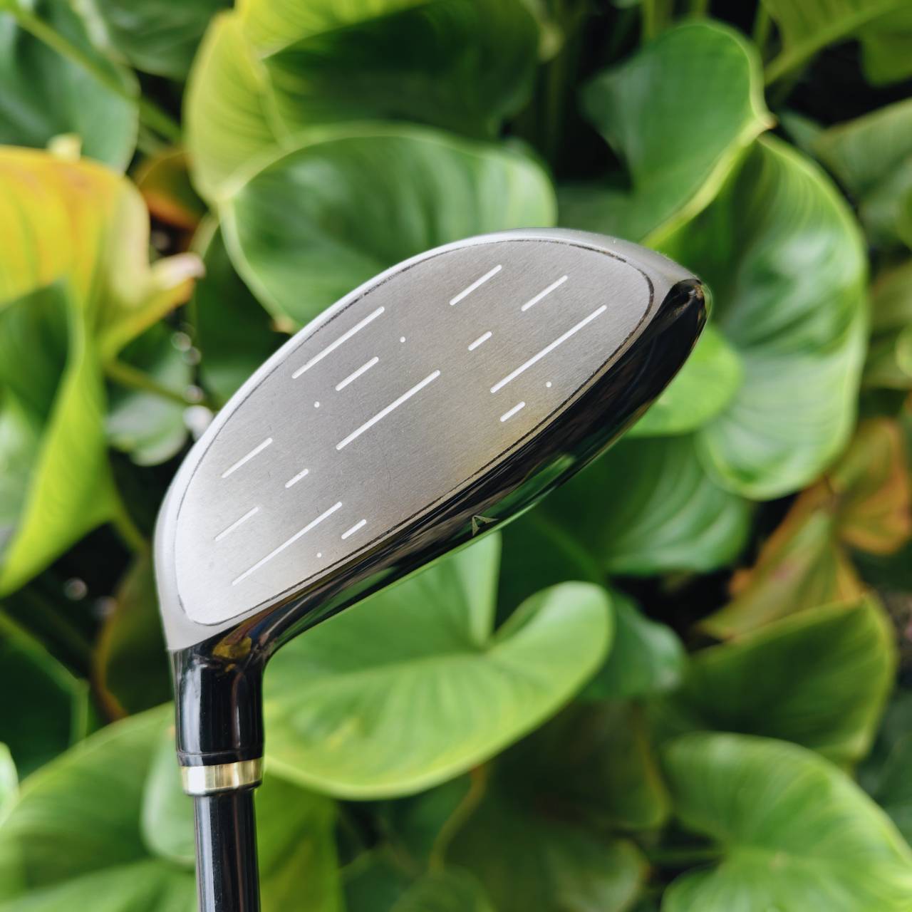 5W XXIO IMPACT POWER MATCHING โครงสร้างหน้าเด้งอีกหนึ่งชั้นที่หน้าไม้ ตีไกลเด้งๆเลยค่ะ